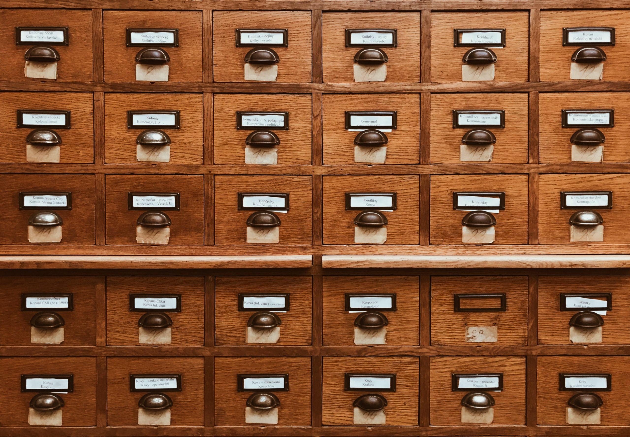 jan-antonin-kolar-lRoX0shwjUQ-unsplash Taxonomia