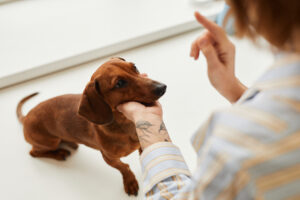 Your Ultimate Guide to Taming Tail Spend in Consulting 1 Taming the tail spend in consulting